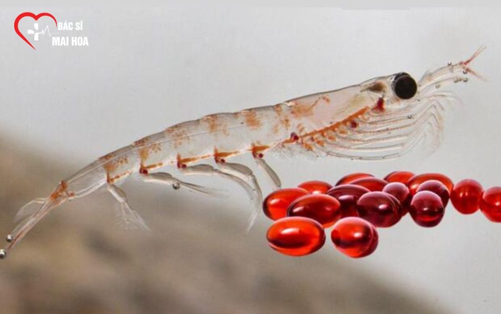 Omega krill là gì? Bs Mai Hoa