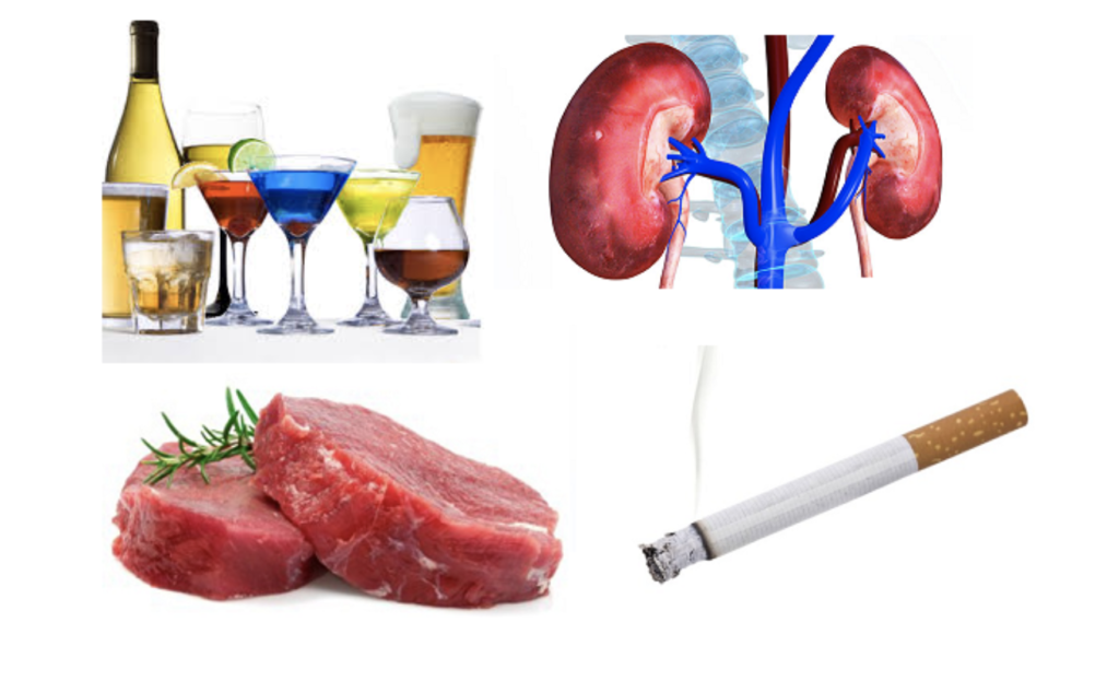 Thận yếu nên ăn gì để hỗ trợ sức khỏe hiệu quả? Thận yếu nên ăn gì để hỗ trợ sức khỏe hiệu quả?